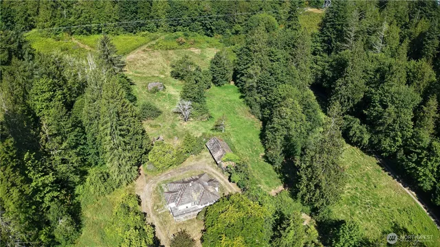 an aerial view of residential houses with outdoor space and trees