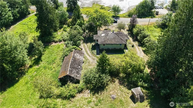 a view of a yard with plants and large trees
