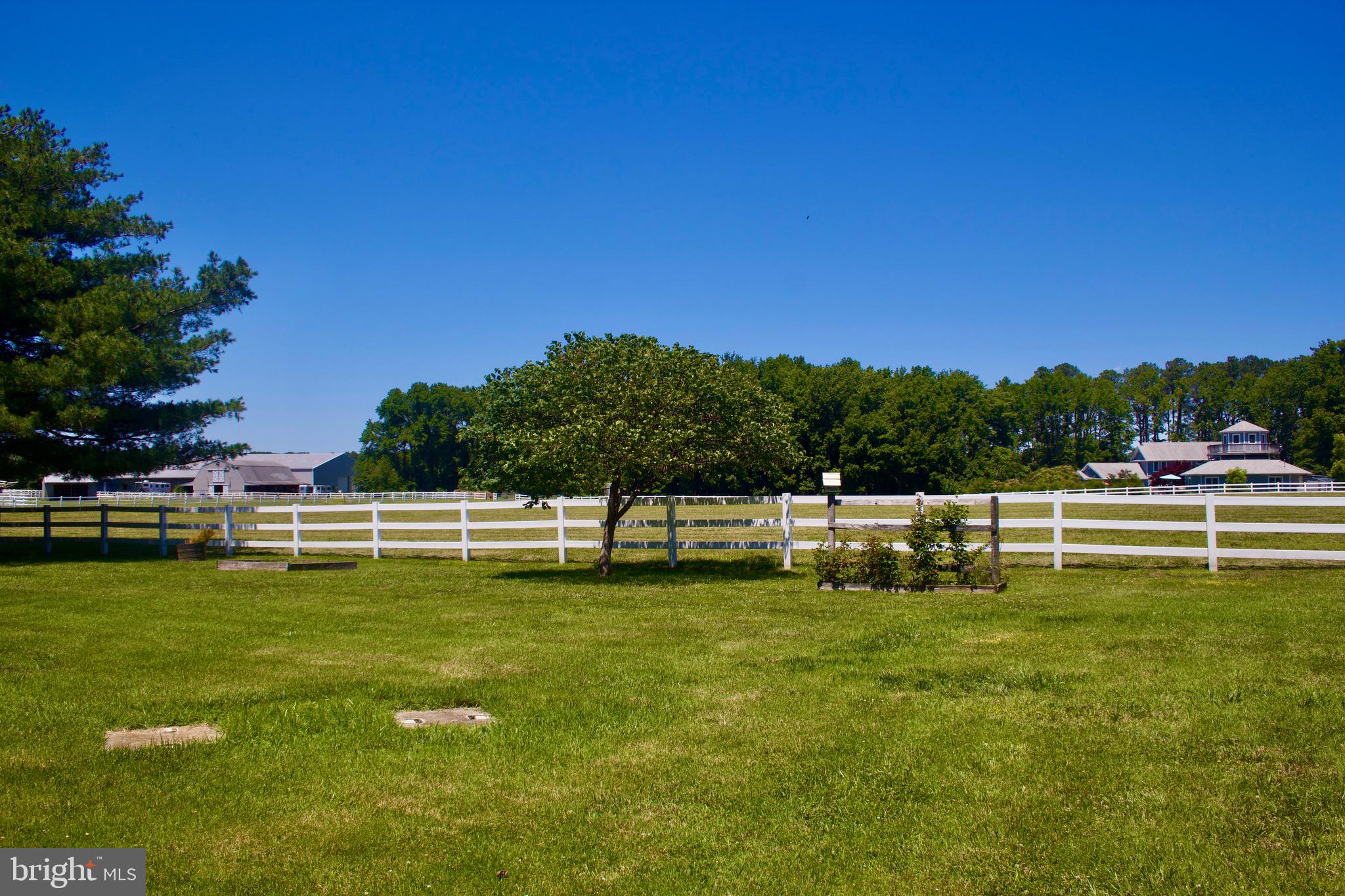 109 Jones Road Chester, MD 21619 - Photo 9 of 40 Backs to Crab Alley horse farm!