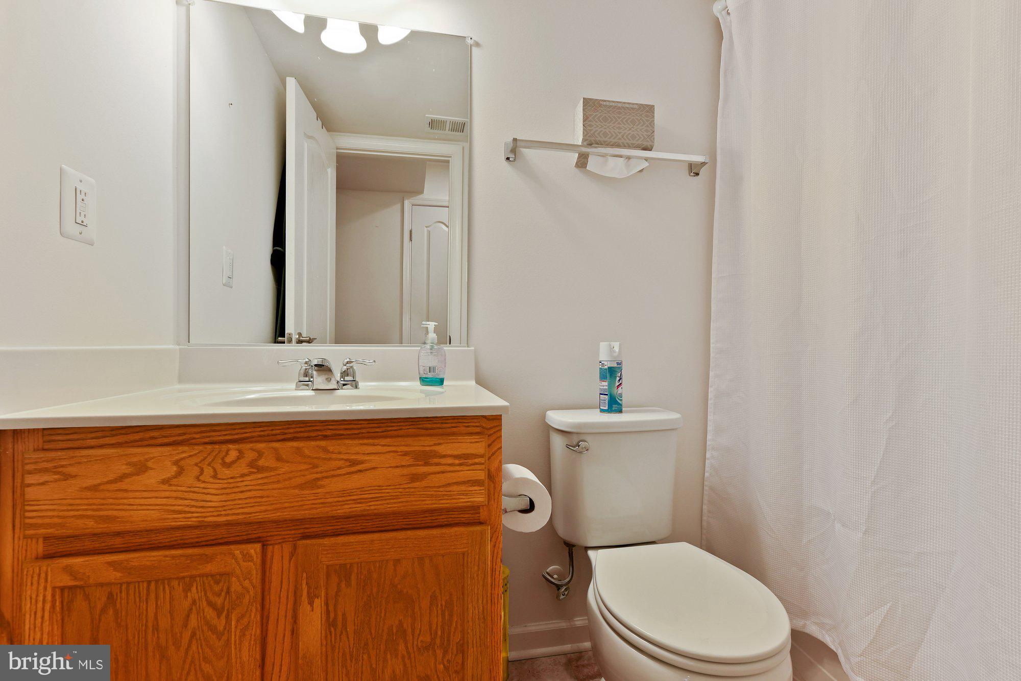 1007 Collier Run Road Baltimore, MD 21220 - Photo 31 of 57 Lower Level Full Bath