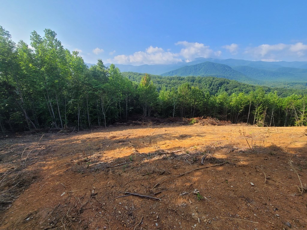 264 Sonshine Ridge Road Cosby, TN 37722 - Photo 15 of 34 Gallery Image 15