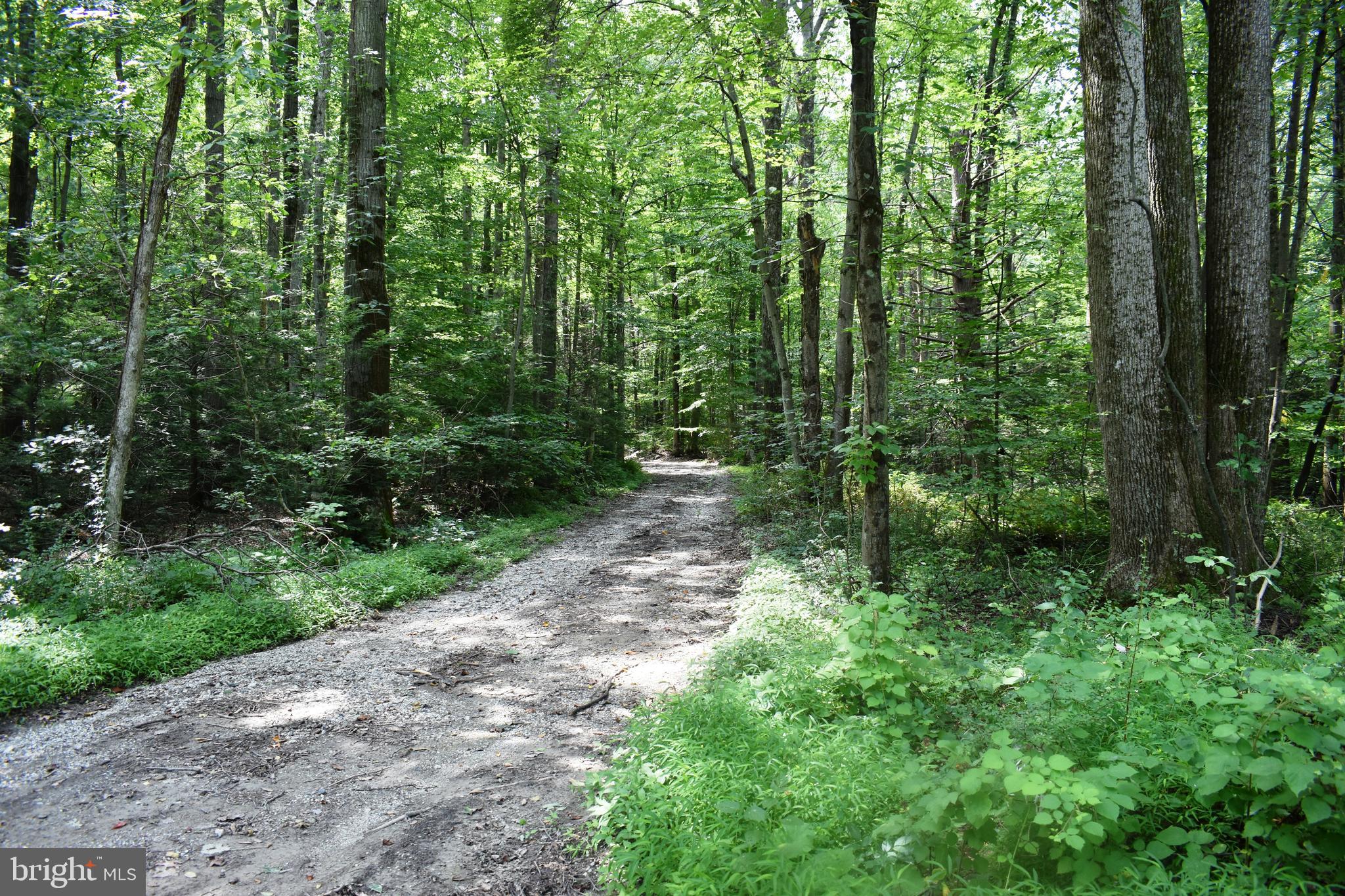 0 Moritz Road Fairfield, PA 17320 - Photo 7 of 9