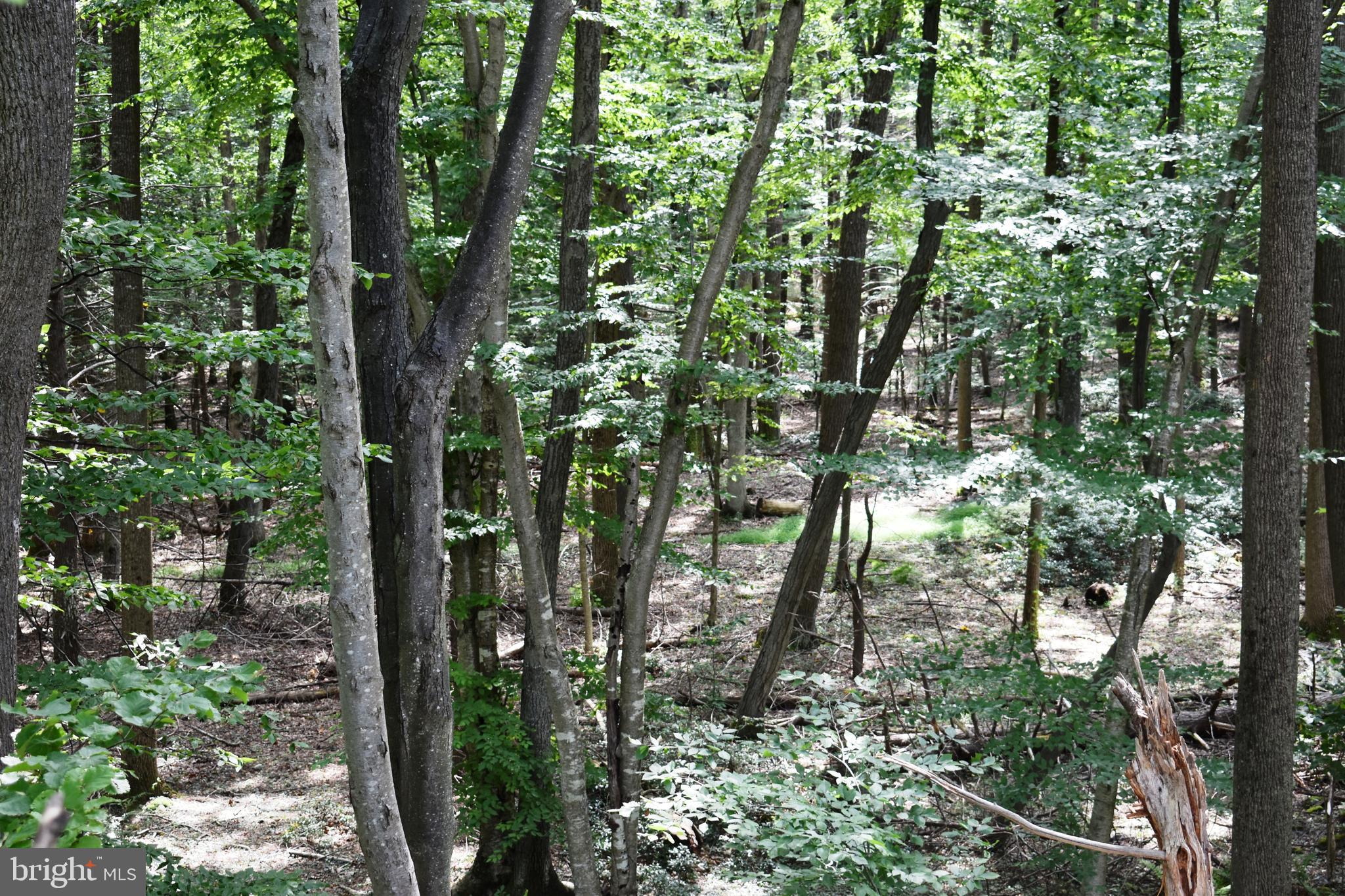 0 Moritz Road Fairfield, PA 17320 - Photo 9 of 9