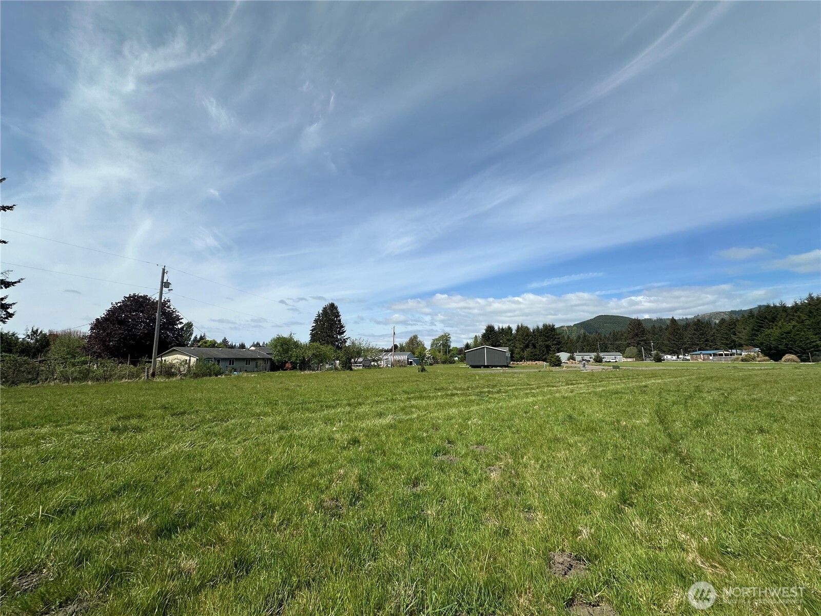 35 Amanda's Way Forks, WA 98331 - Photo 4 of 5 a view of a grassy field with trees