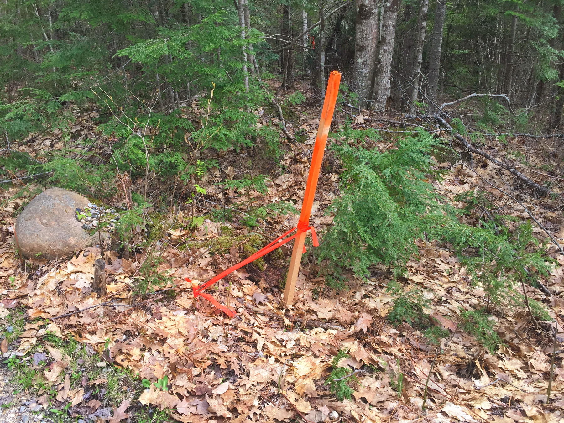 40 Moose Pond Road Otisfield, ME 04270 - Photo 6 of 12 IMG_4453