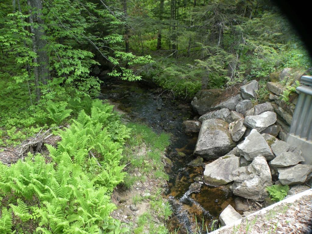 0 Ryerson Hill Road South Paris, ME 04281 - Photo 2 of 9 Photo