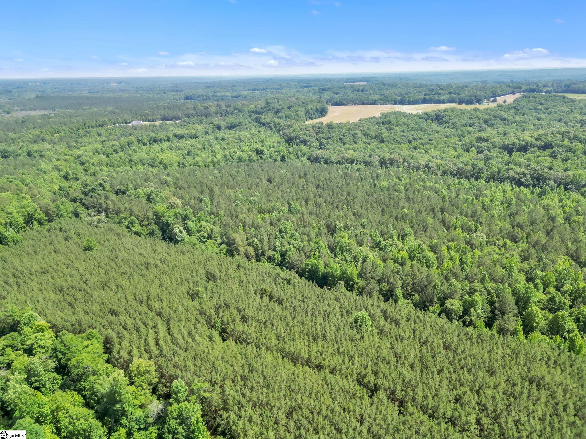 0 Simpson Mill Road Laurens, SC 29360 - Photo 13 of 18 Gallery Image 13