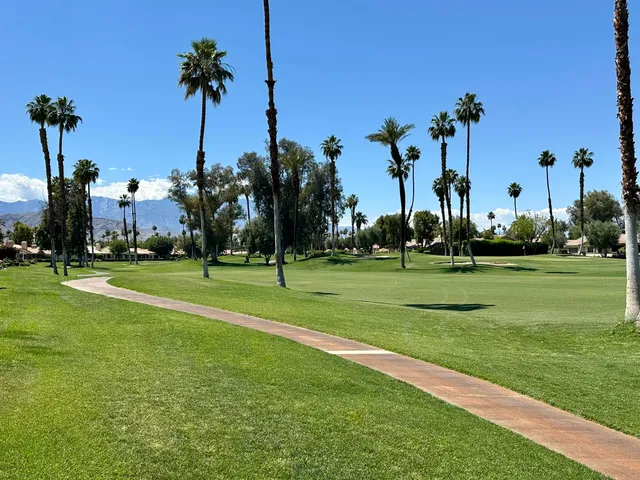 a view of a park and palm trees