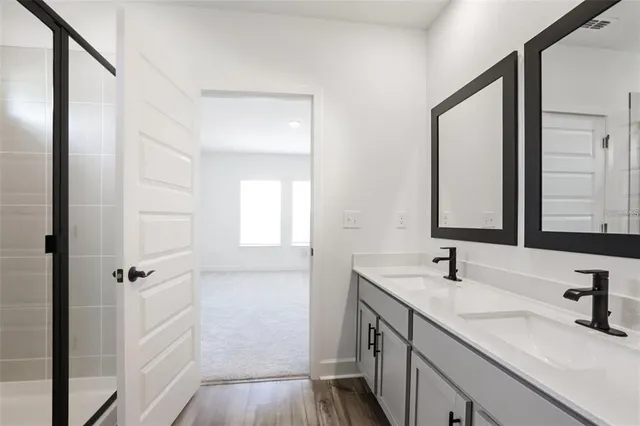 a bathroom with a sink and a large mirror