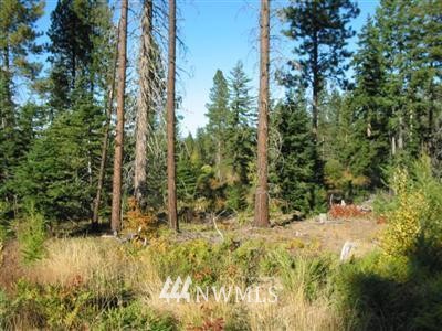 -l5 Lightning Ridge Road Cle Elum, WA 98922 - Photo 1 of 1 Gallery Image 1