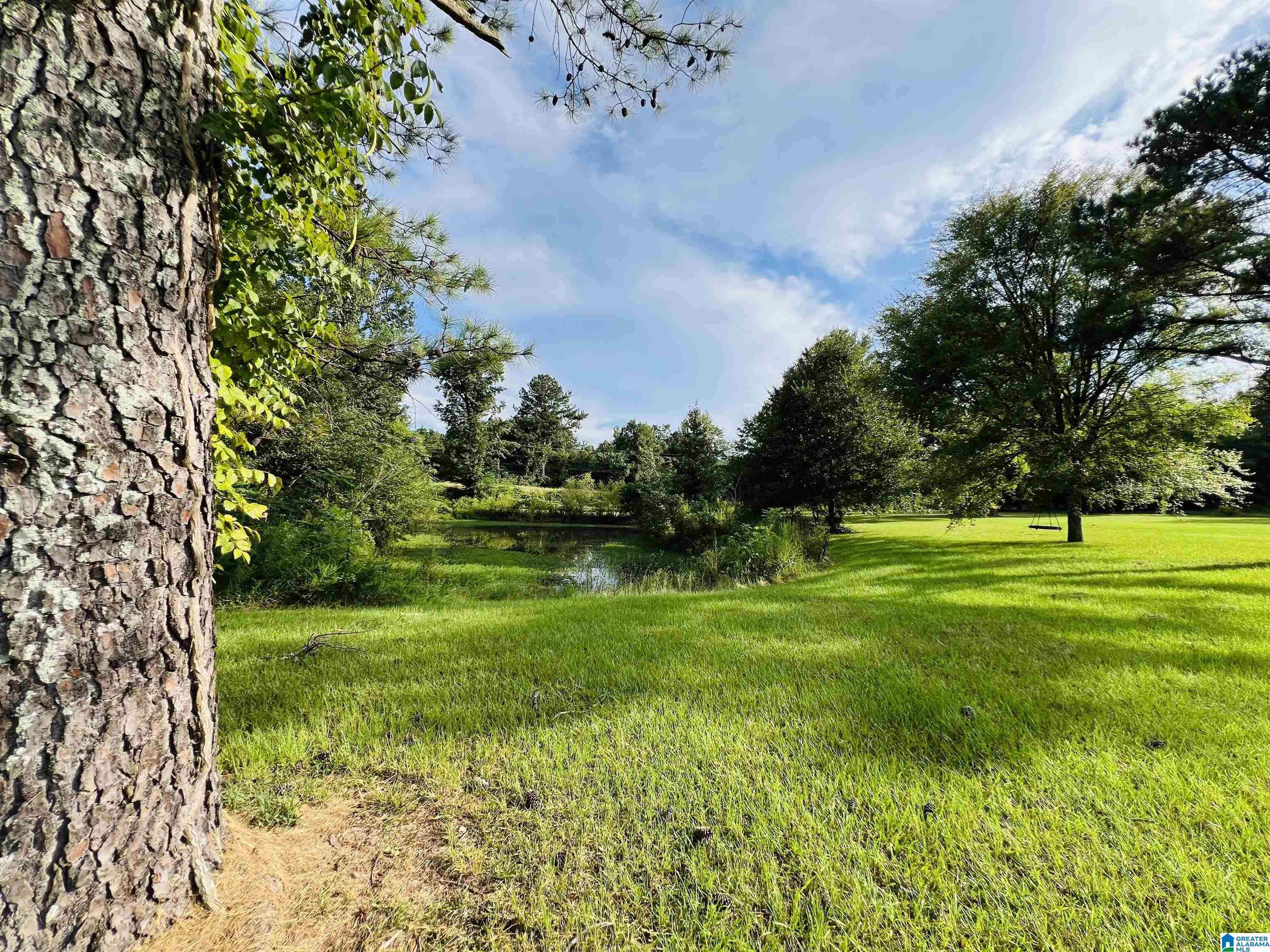 70 Armstrong Road Ashville, AL 35953 - Photo 14 of 67