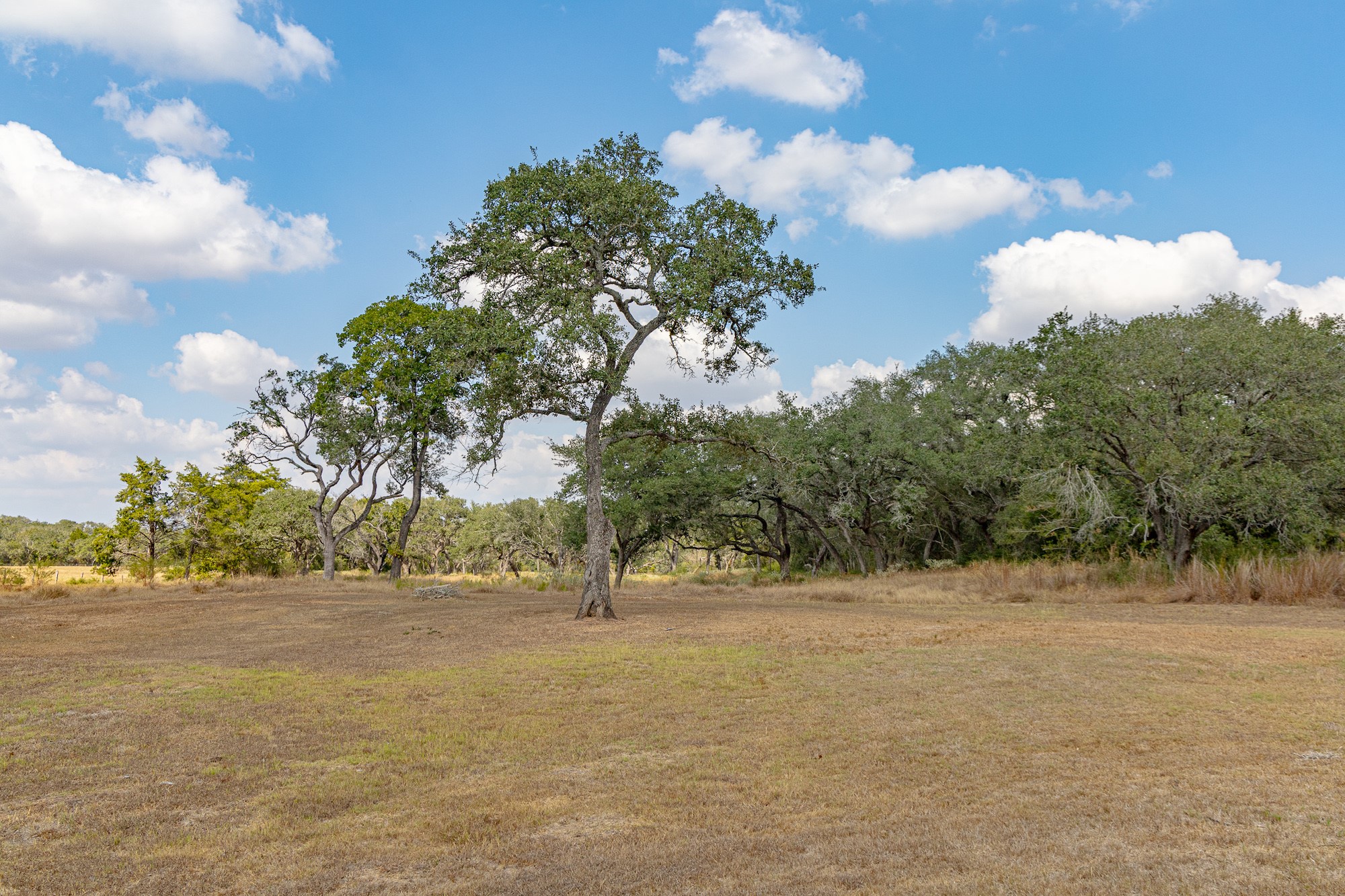 716 L Hrabovsky Road Yoakum, TX 77995 - Photo 27 of 42 a view of outdoor space