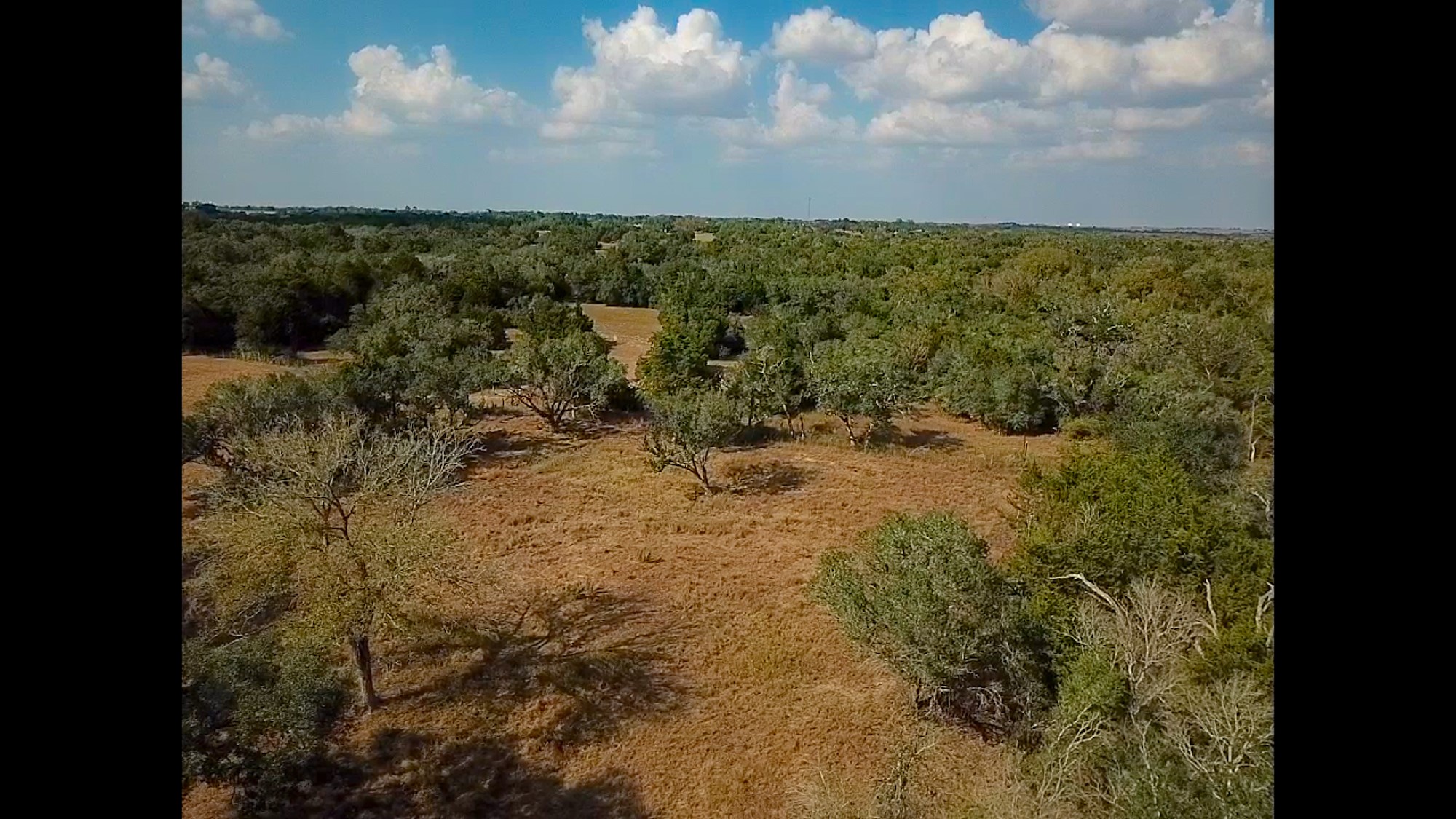 716 L Hrabovsky Road Yoakum, TX 77995 - Photo 32 of 42 a view of a field