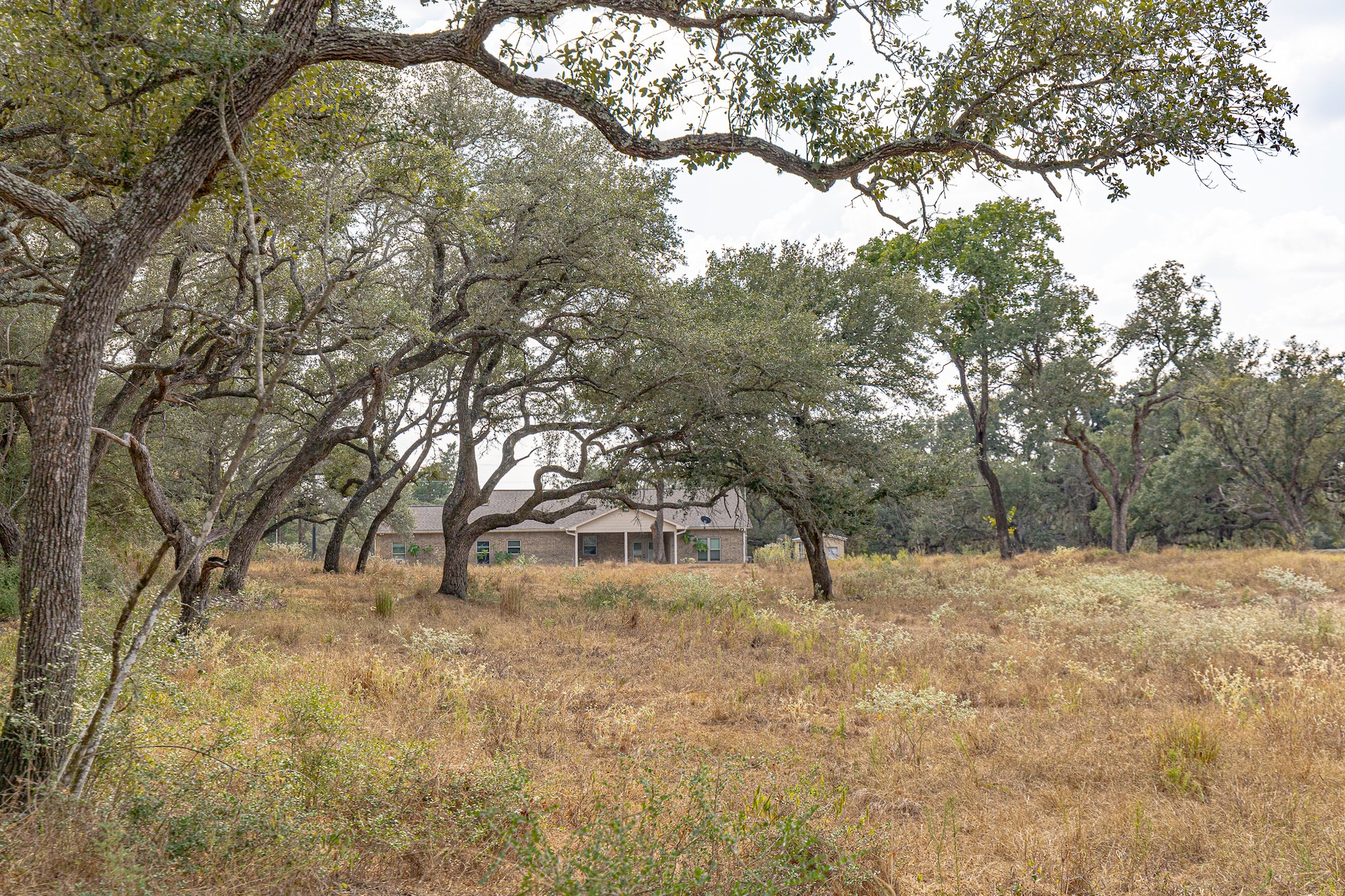 716 L Hrabovsky Road Yoakum, TX 77995 - Photo 35 of 42 a view of outdoor space with trees