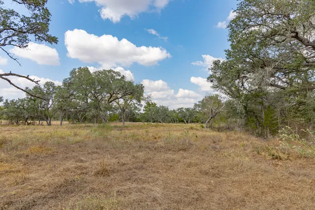 a view of a yard with an trees