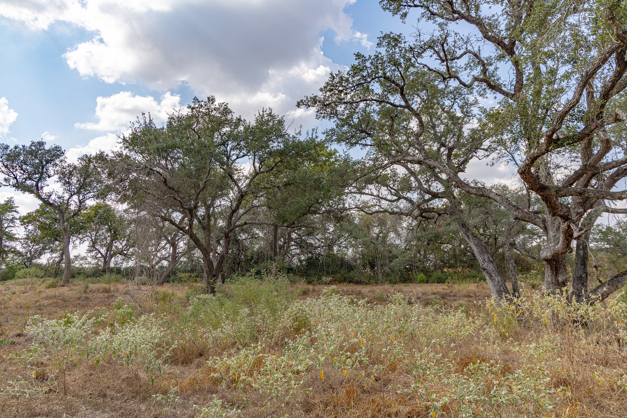 716 L Hrabovsky Road Yoakum, TX 77995 - Photo 38 of 42 a view of outdoor space and yard