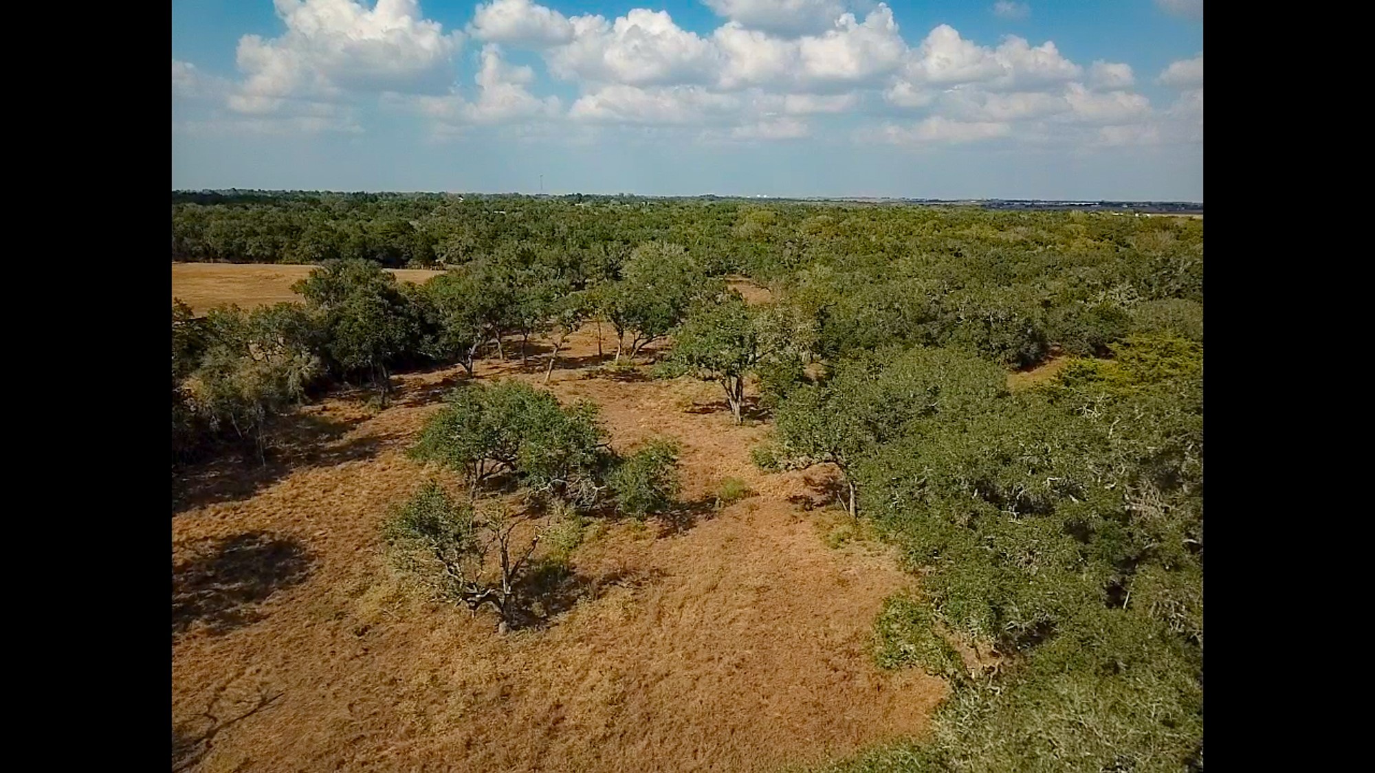 716 L Hrabovsky Road Yoakum, TX 77995 - Photo 39 of 42 a view of a lake