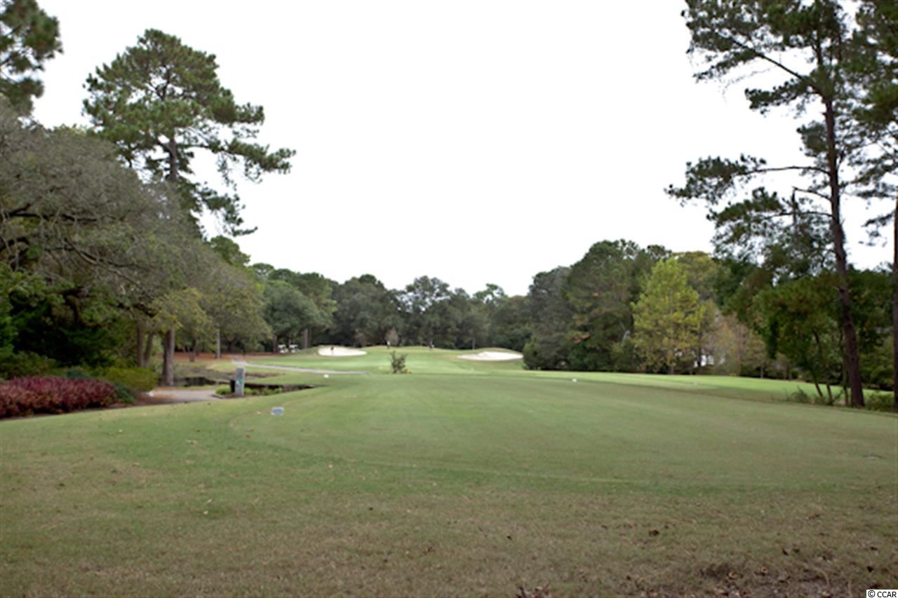 44 Goodson Loop Pawleys Island, SC 29585 - Photo 11 of 15 Gallery Image 11