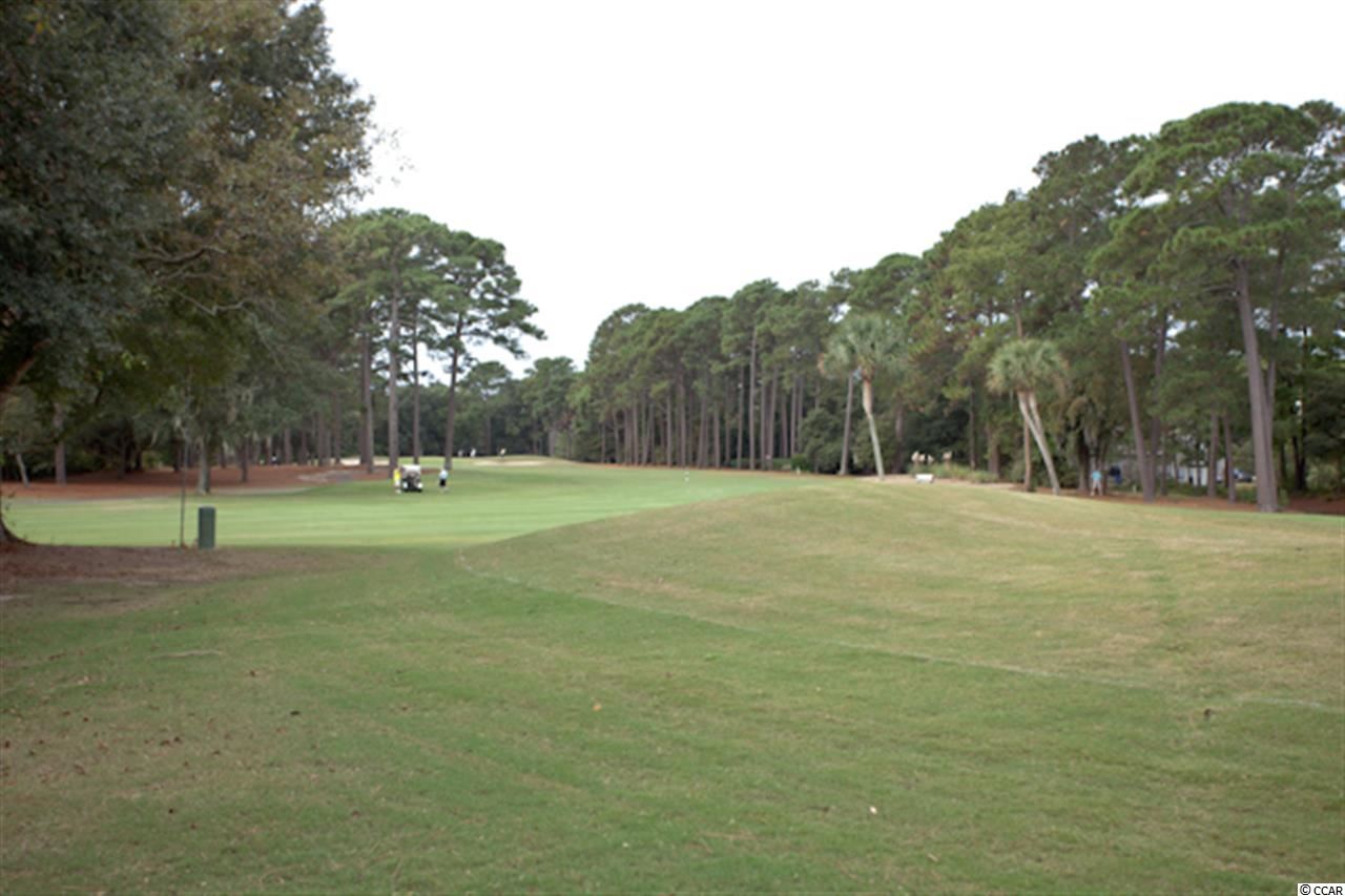 44 Goodson Loop Pawleys Island, SC 29585 - Photo 12 of 15 Gallery Image 12