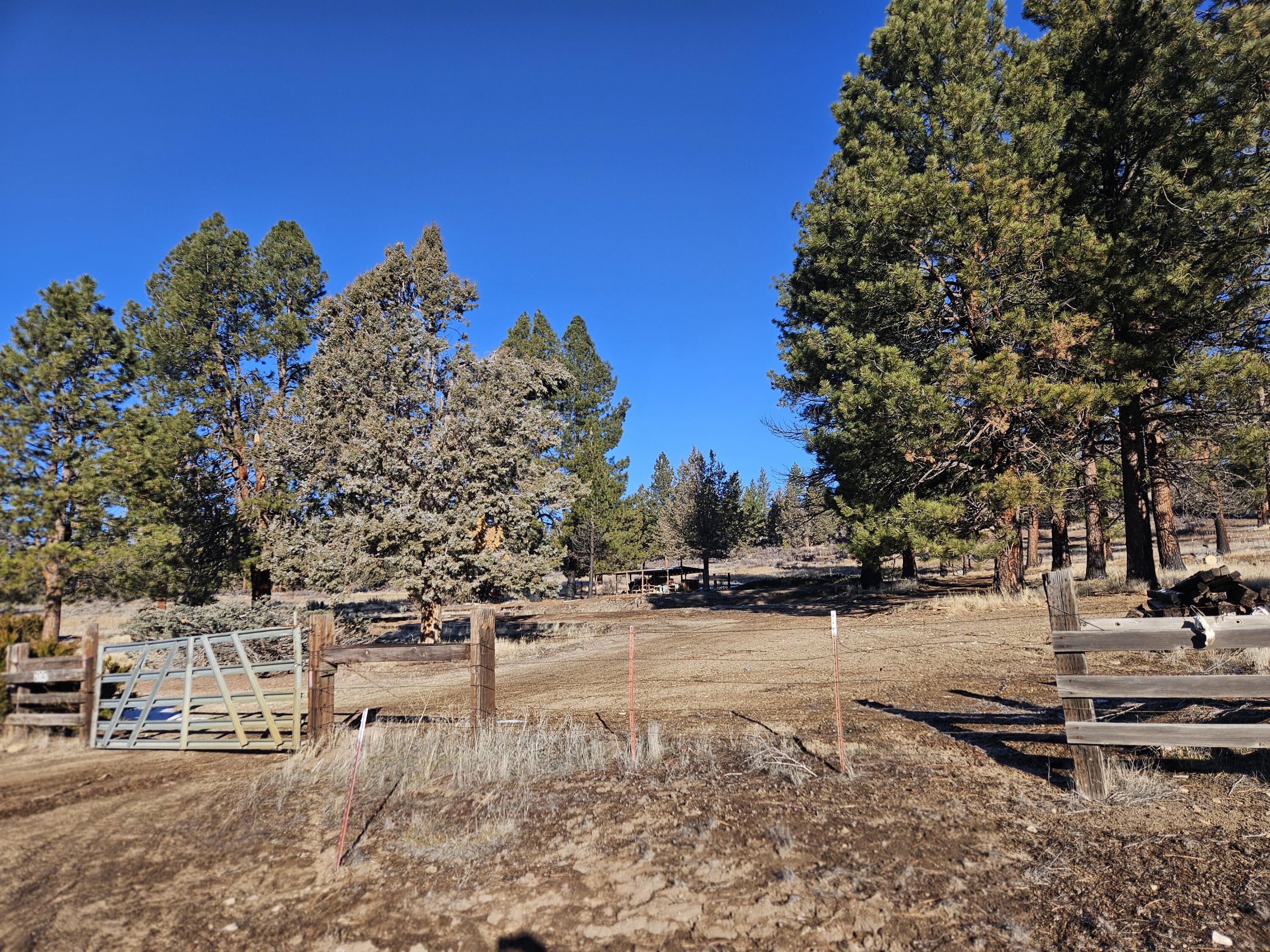 31747 Godowa Springs Road Beatty, OR 97621 - Photo 11 of 23 20260117_093823
