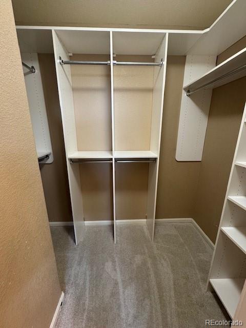 4774 Drowsy Water Road Castle Rock, CO 80108 - Photo 19 of 30