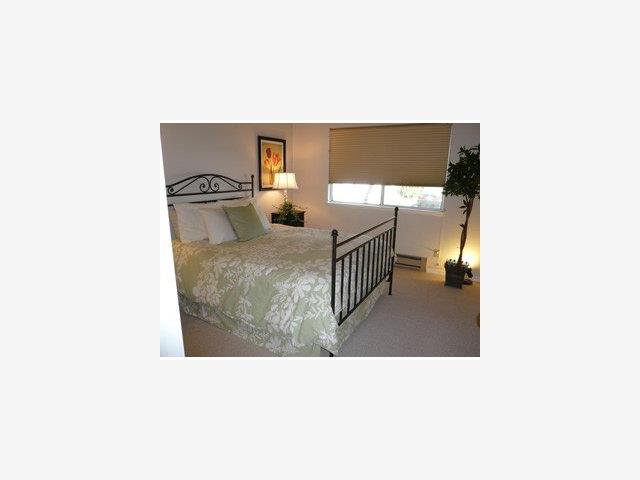 110 East Middlefield Road, Unit B Mountain View, CA 94043 - Photo 6 of 8