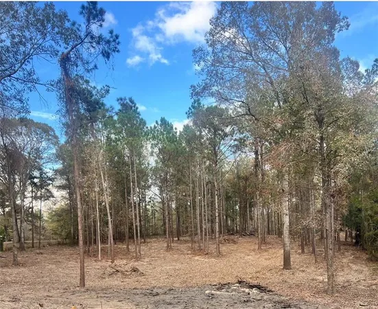 $44,500 | 0 Hoyt Road, Boyce, LA 71409