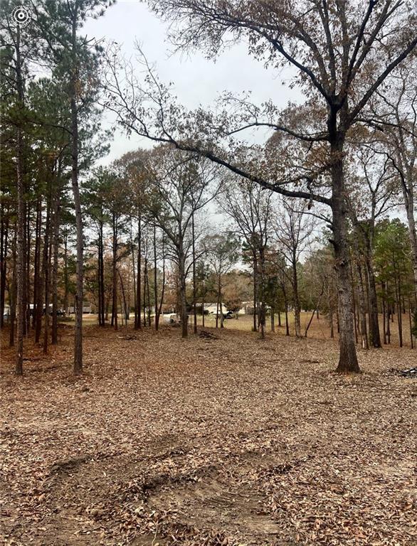 0 Hoyt Road Boyce, LA 71409 - Photo 11 of 11