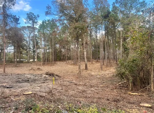 $44,500 | 0 Hoyt Road, Boyce, LA 71409