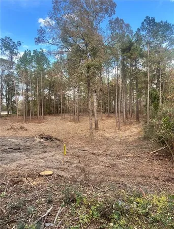 $44,500 | 0 Hoyt Road, Boyce, LA 71409