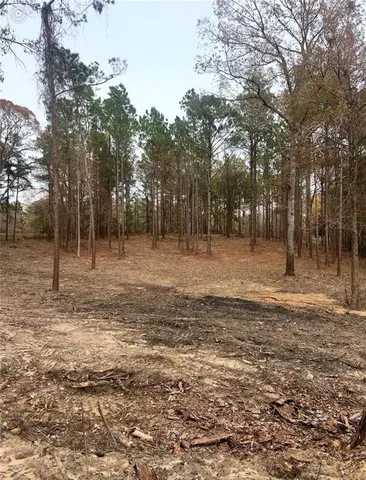 $44,500 | 0 Hoyt Road, Boyce, LA 71409