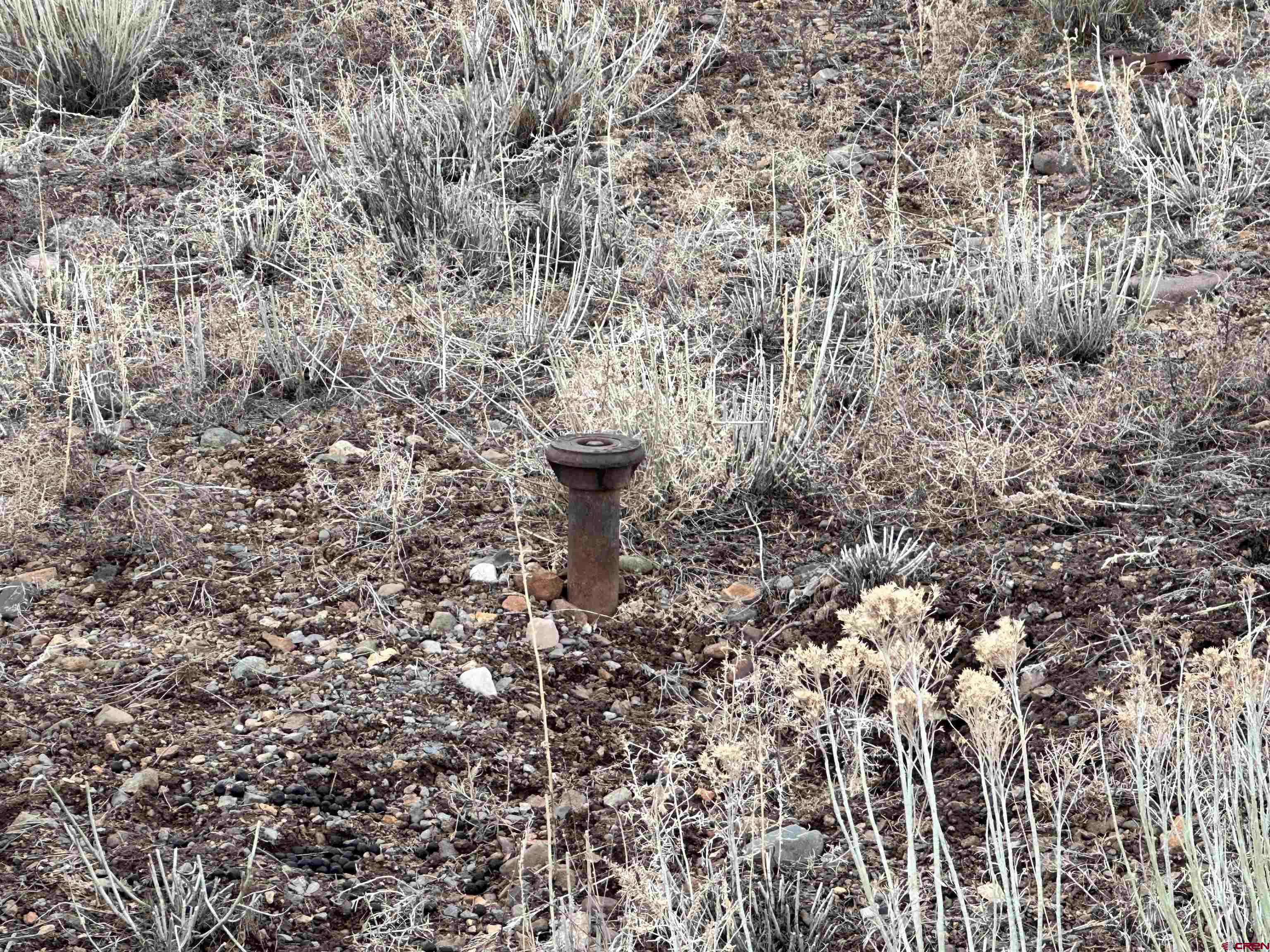 Tbd Tbd Mall Road Ridgway, CO 81432 - Photo 24 of 26 a view of a yard