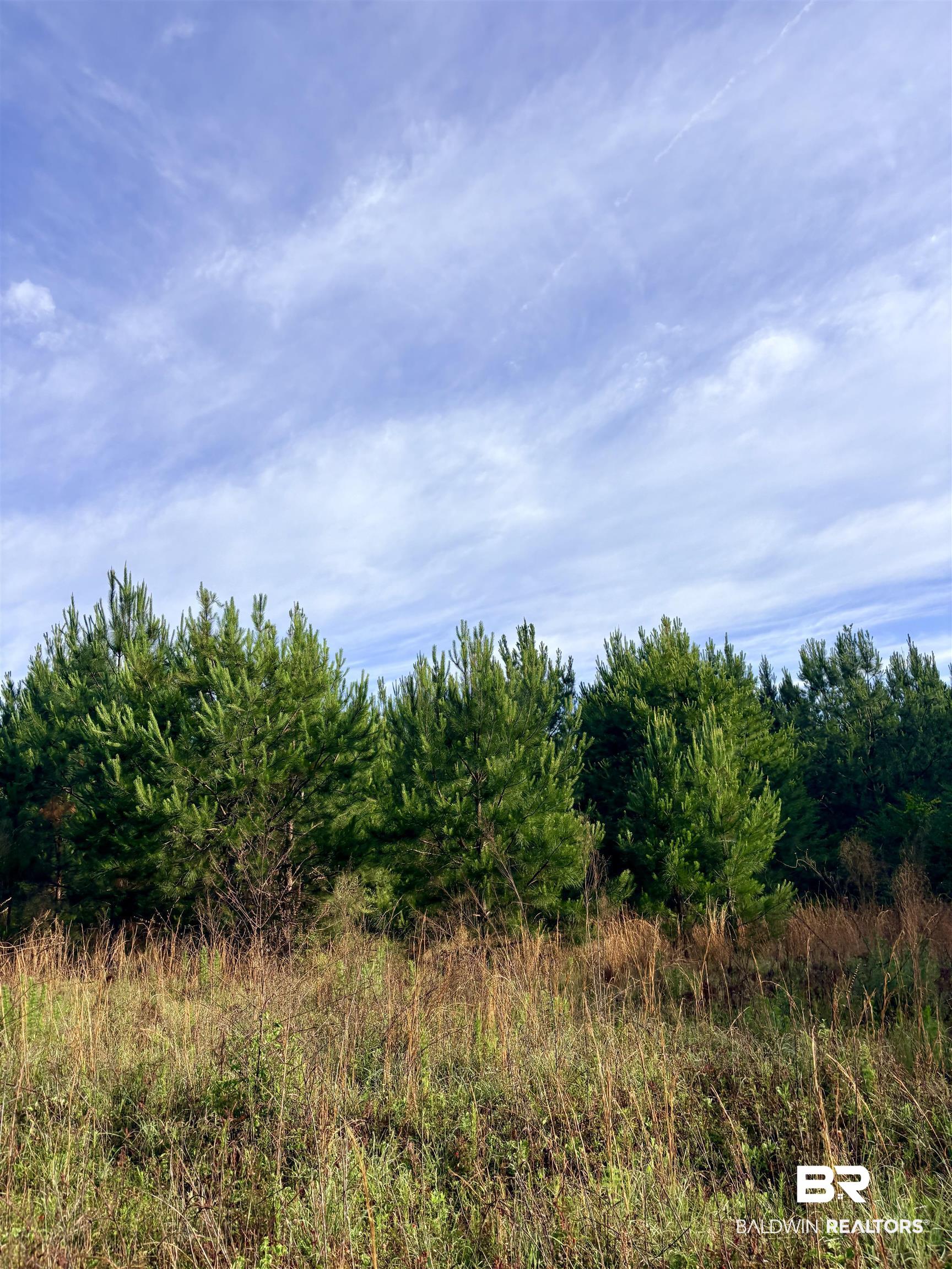 0 Joe Reeves Road Castleberry, AL 36432 - Photo 11 of 14