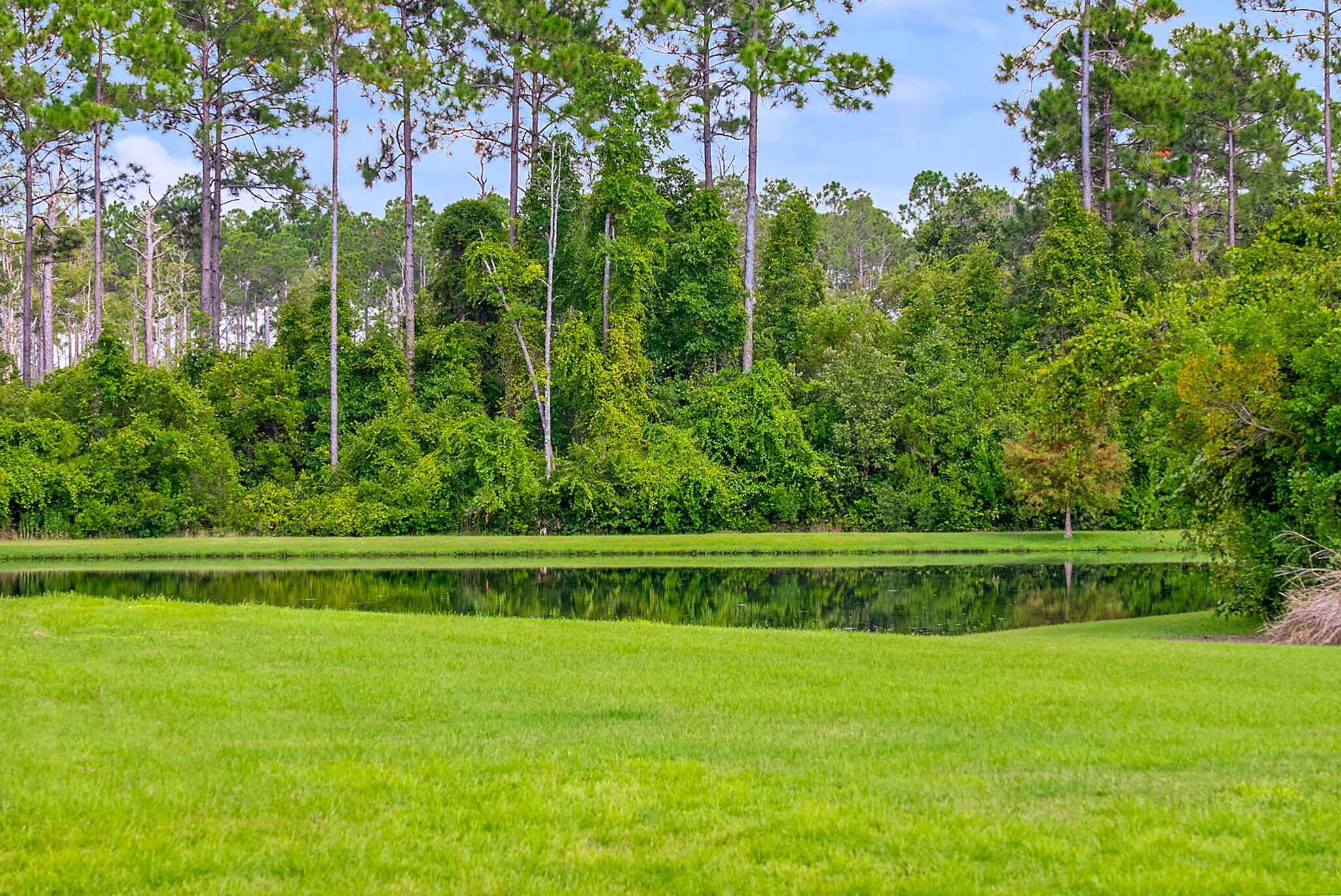 290 Windrow Way Watersound, FL 32461 - Photo 8 of 82 Unobstructed Pond Views