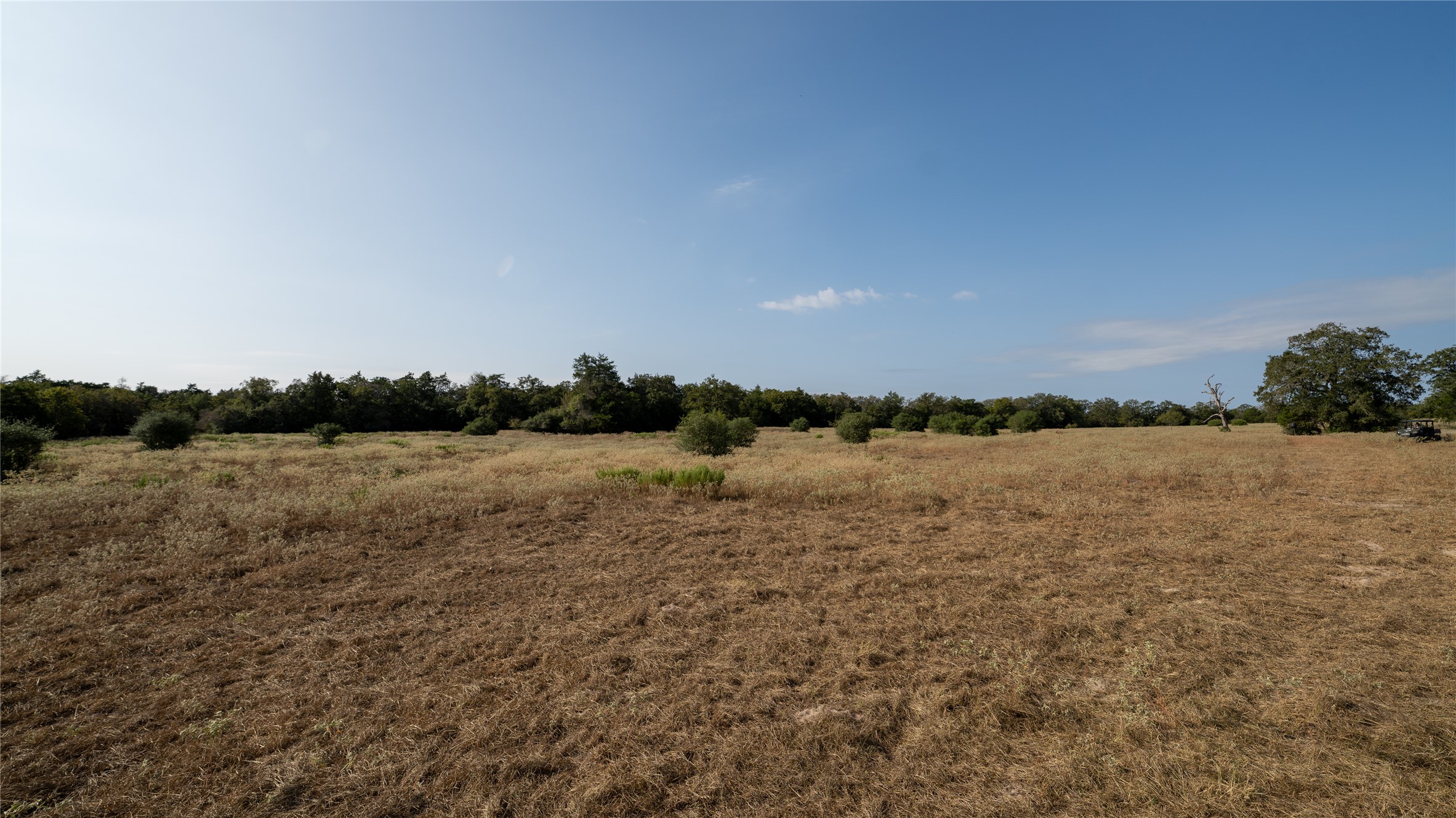 8 Cedar Rock Road Rosanky, TX 78953 - Photo 11 of 17 View of nature featuring rural landscape