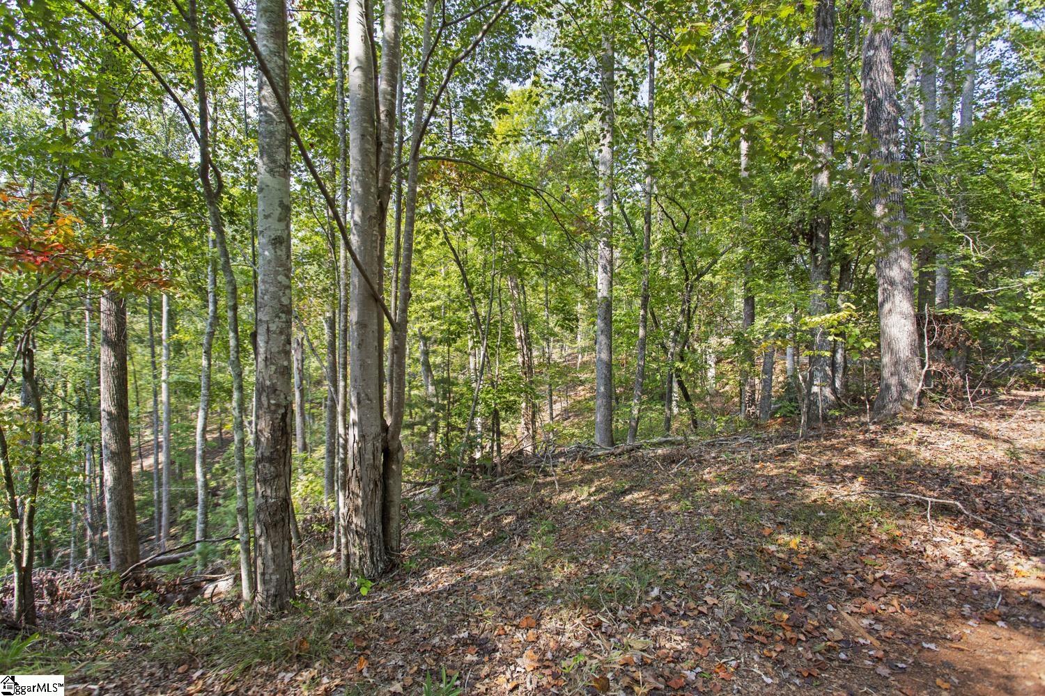 142 Summit Pine Sunset, SC 29685 - Photo 6 of 16