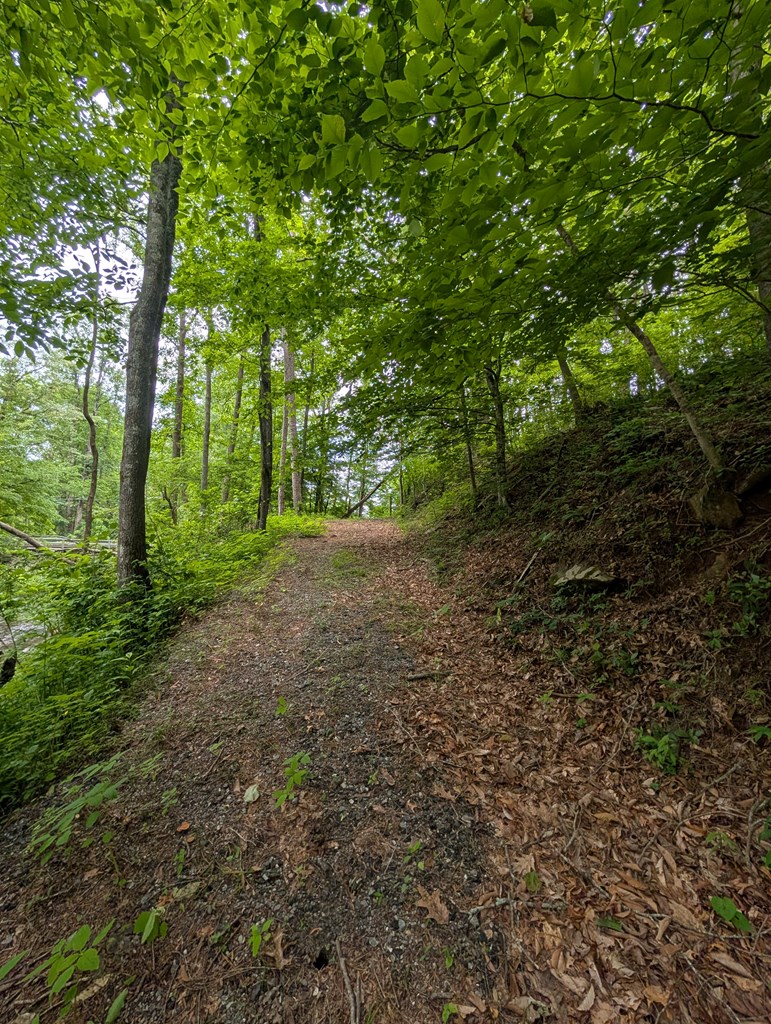 None East Vineyard Road Hayesville, NC 28904 - Photo 14 of 16 Gallery Image 14