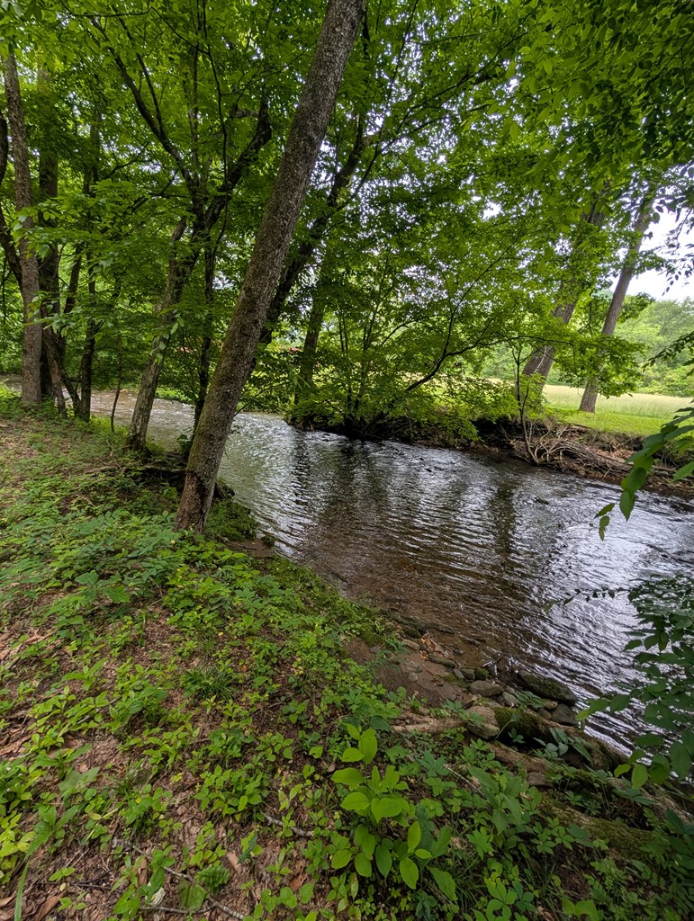 None East Vineyard Road Hayesville, NC 28904 - Photo 2 of 16 Gallery Image 2
