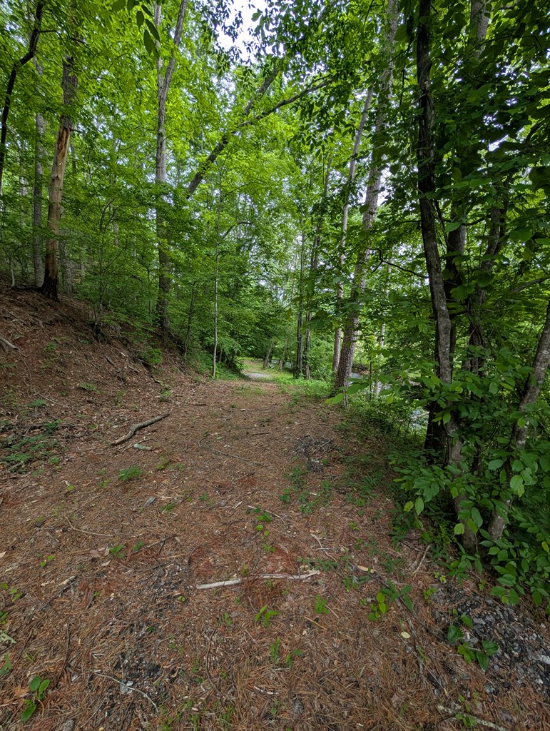 None East Vineyard Road Hayesville, NC 28904 - Photo 3 of 16 Gallery Image 3