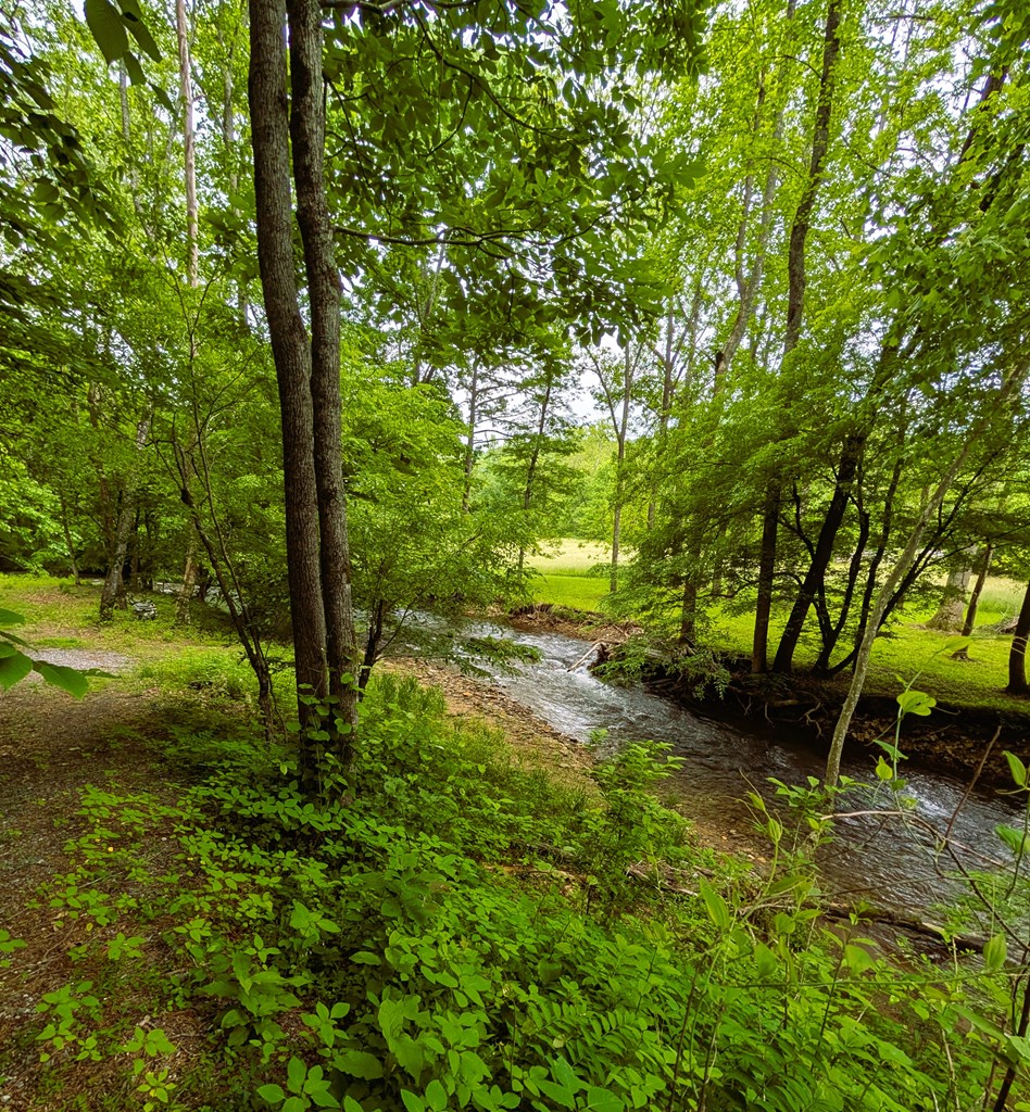 None East Vineyard Road Hayesville, NC 28904 - Photo 6 of 16 Gallery Image 6