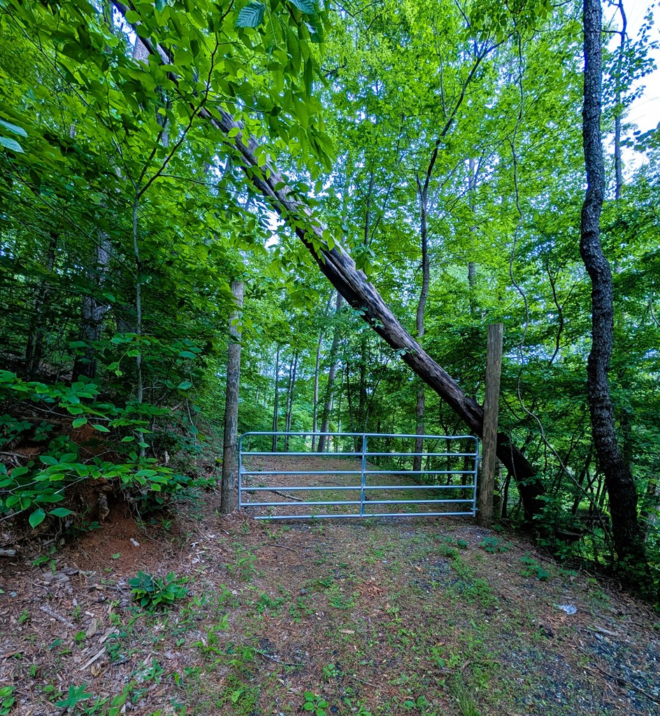 None East Vineyard Road Hayesville, NC 28904 - Photo 8 of 16 Gallery Image 8