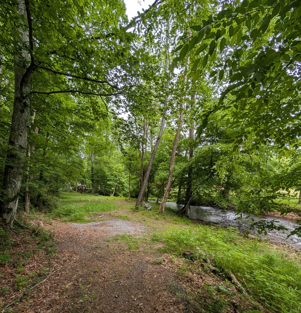 None East Vineyard Road Hayesville, NC 28904 - Photo 9 of 16 Gallery Image 9