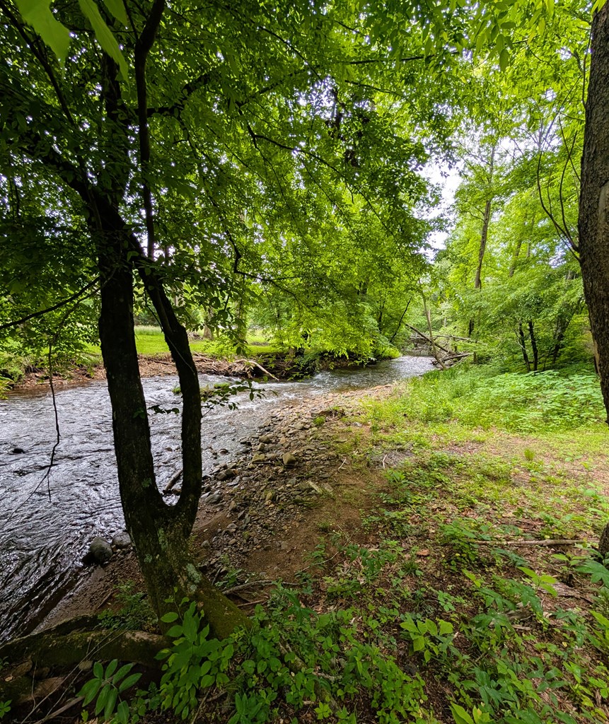 None East Vineyard Road Hayesville, NC 28904 - Photo 10 of 16 Gallery Image 10