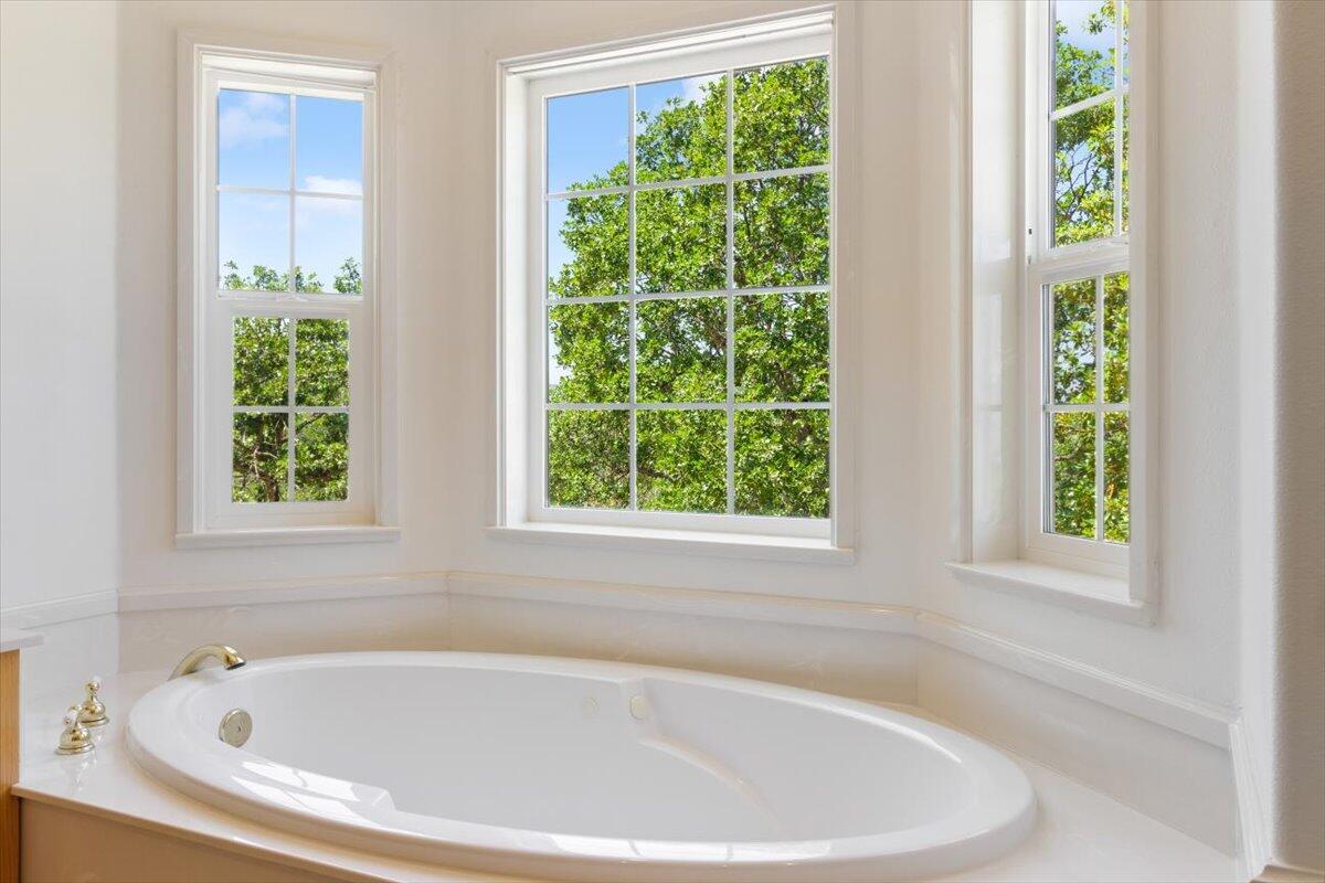 4408 Independence School Road Medford, OR 97501 - Photo 15 of 40 Downstairs Primary Jetted Tub with view