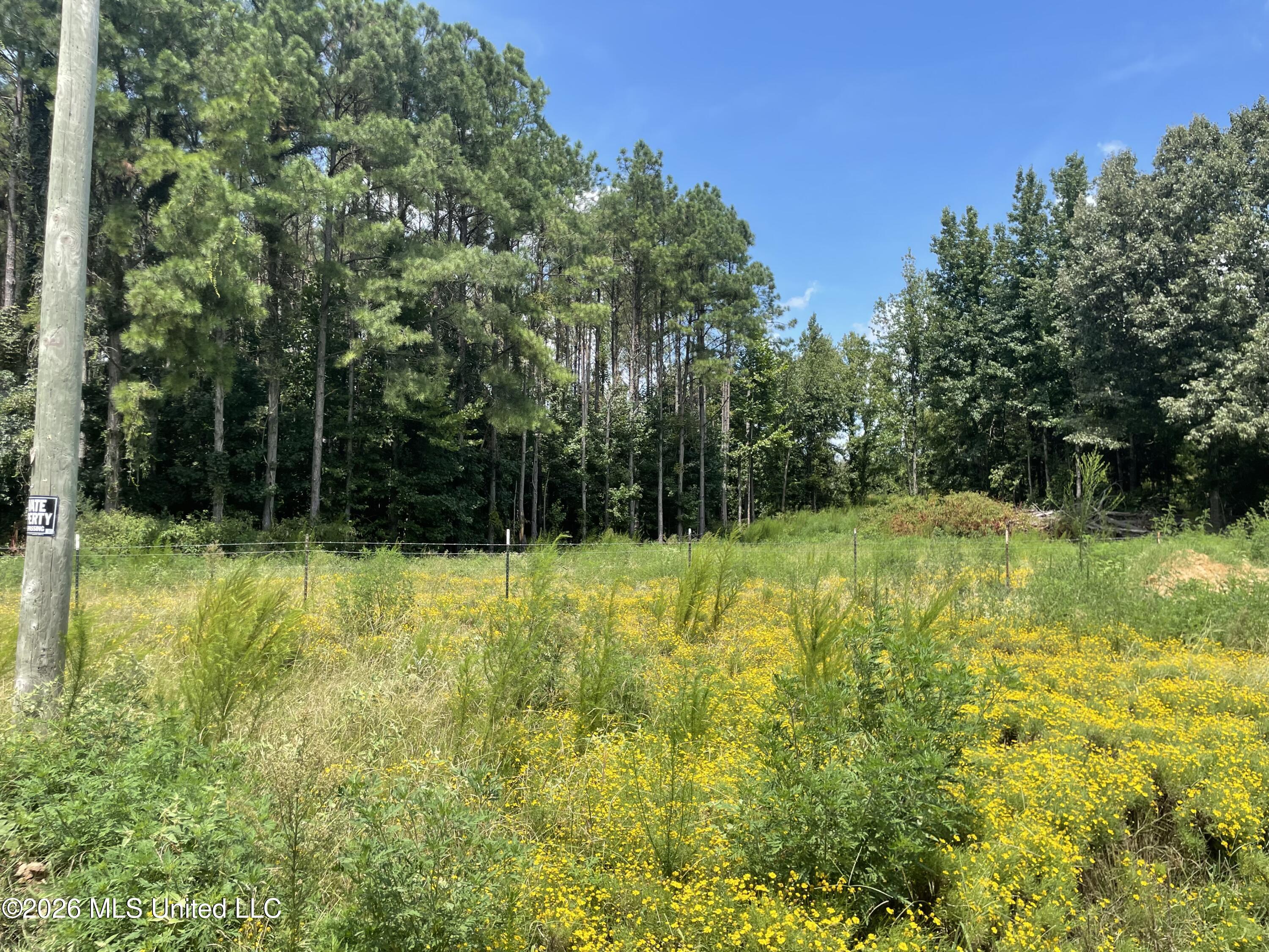Steward Road Senatobia, MS 38668 - Photo 2 of 5 IMG_5340