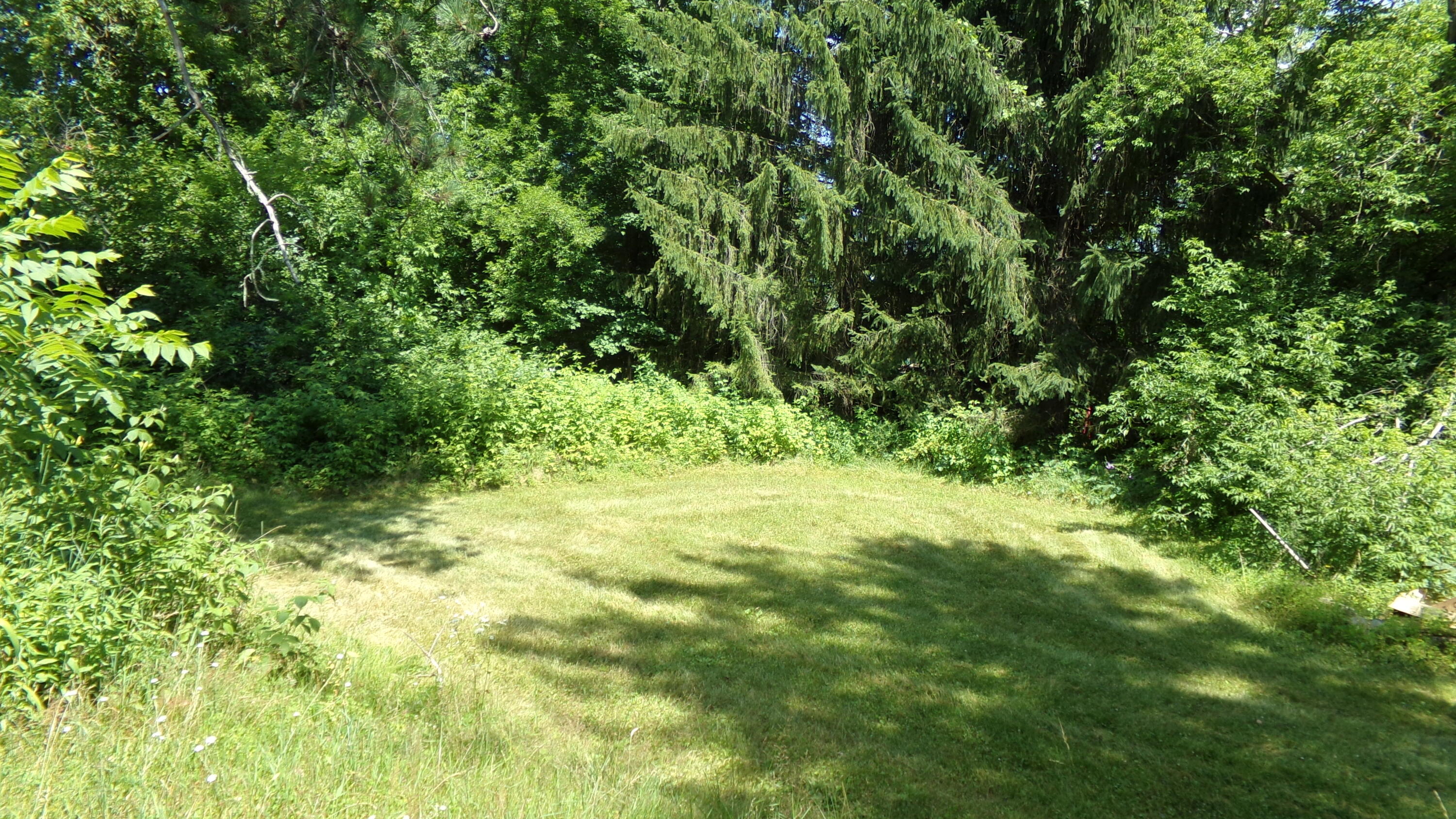 14288 Ridge Street Mountain, WI 54149 - Photo 12 of 29 Yard View