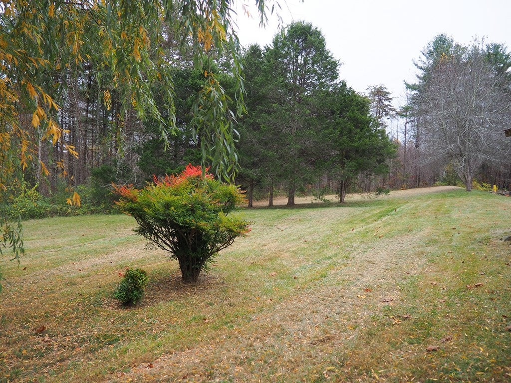 357 Lone Ash Road Barren Springs, VA 24313 - Photo 2 of 25 Gallery Image 2