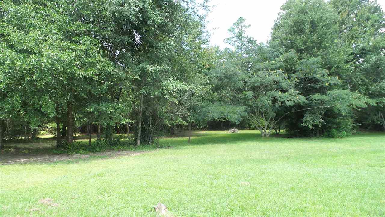 573 Chavers Creek Road Flomaton, AL 36441 - Photo 8 of 44