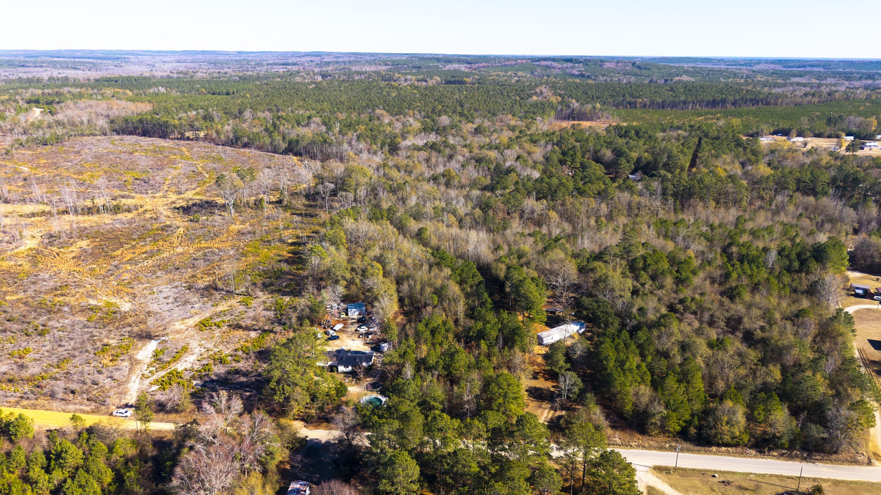 5485 Mayrant Road Rembert, SC 29128 - Photo 9 of 21 Gallery Image 9