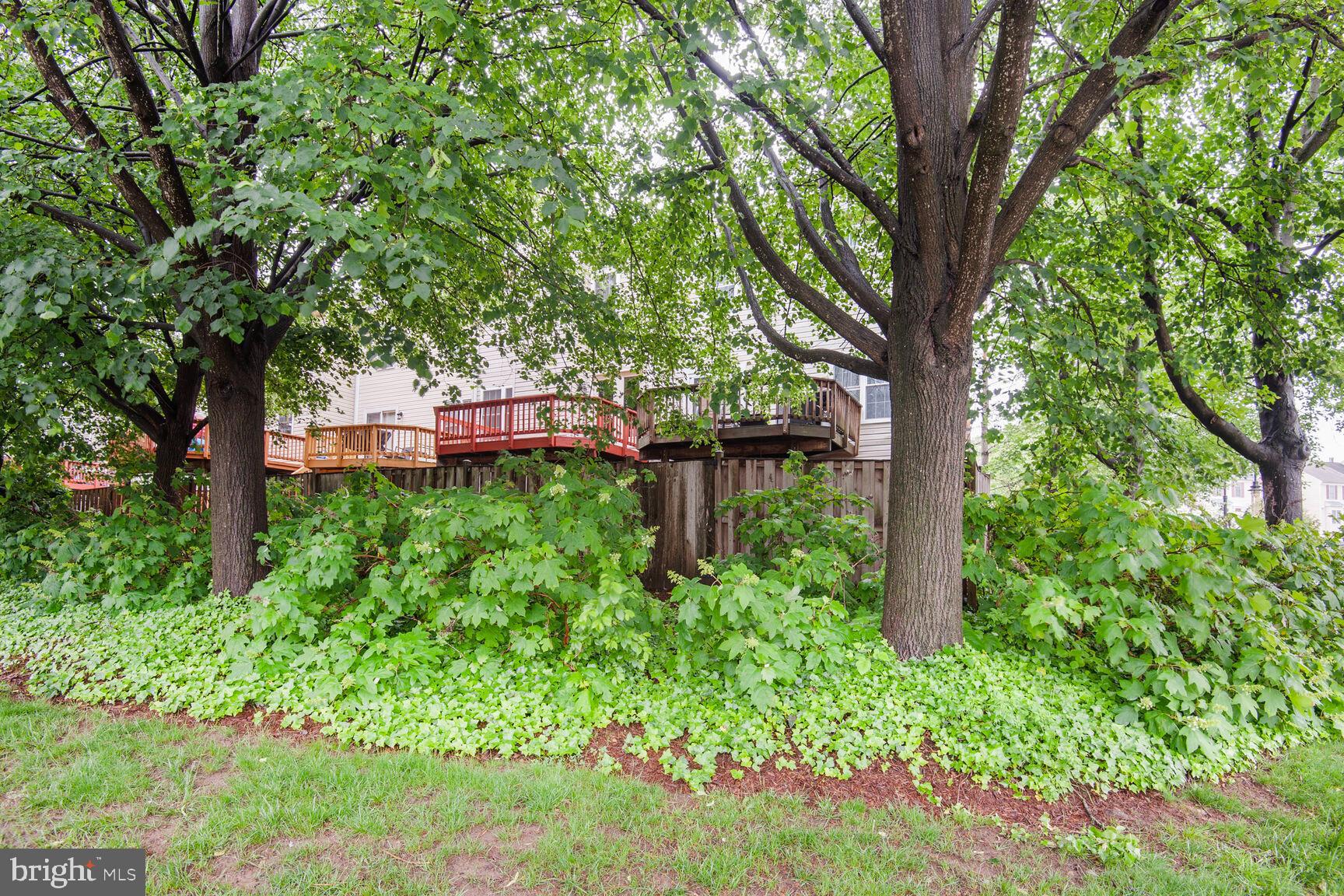 45544 Whitcomb Square Sterling, VA 20166 - Photo 29 of 31 End Unit for Maximum Privacy